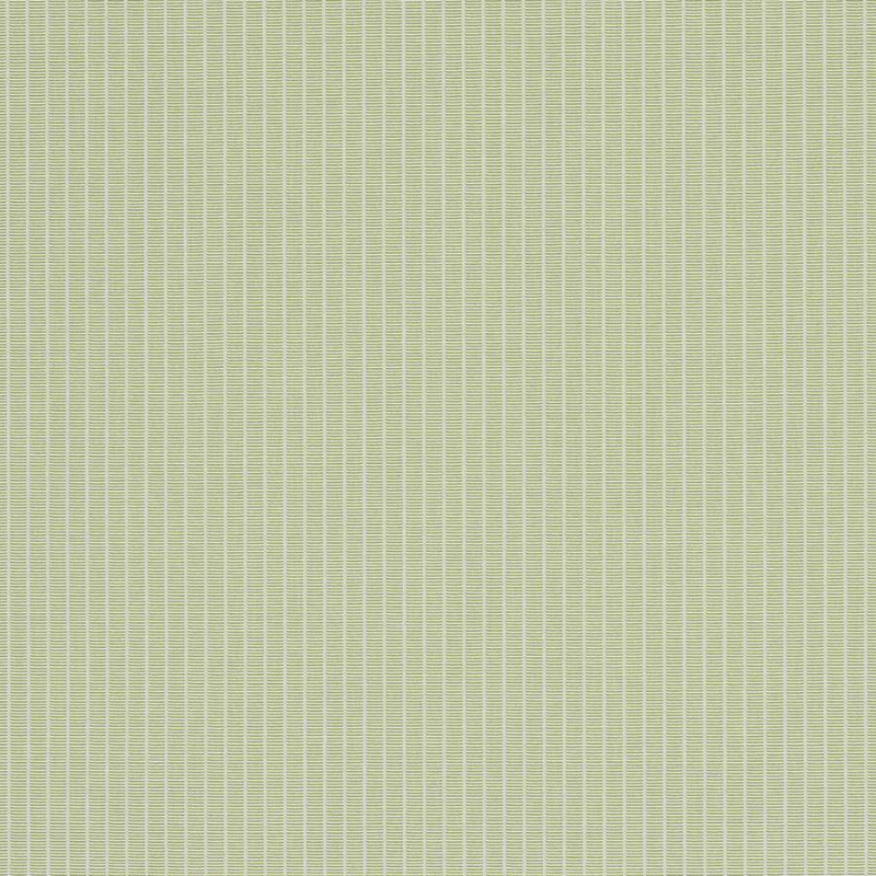 Manuel Canovas Linea Streifenstoff in Pomme
