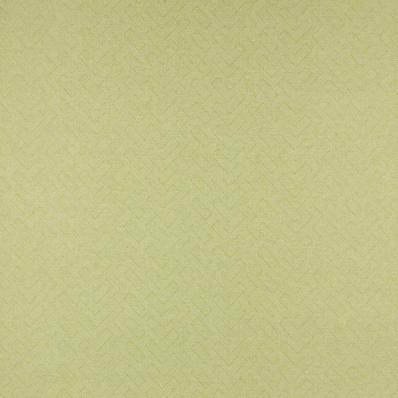 Lombok Cactus – Stoff von Manuel Canovas