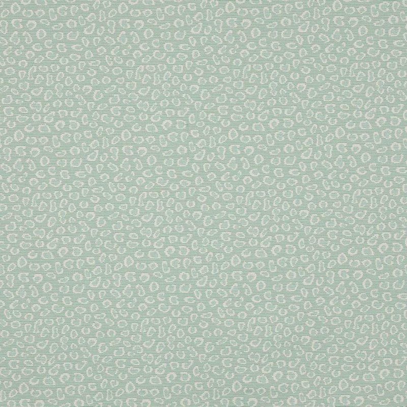 Manuel Canovas Suzanne Stoff in Lagon