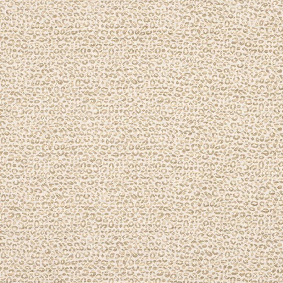 Baxter Sand