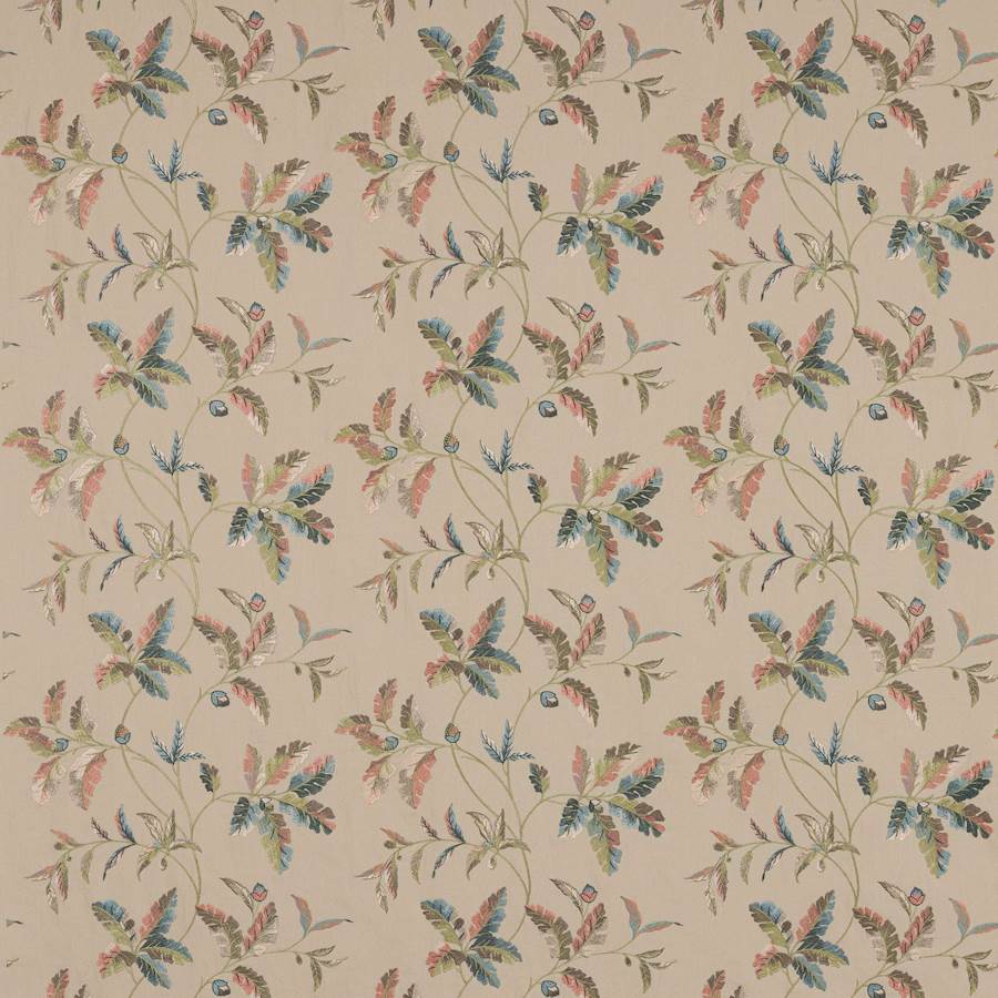 Broadleaf Olive