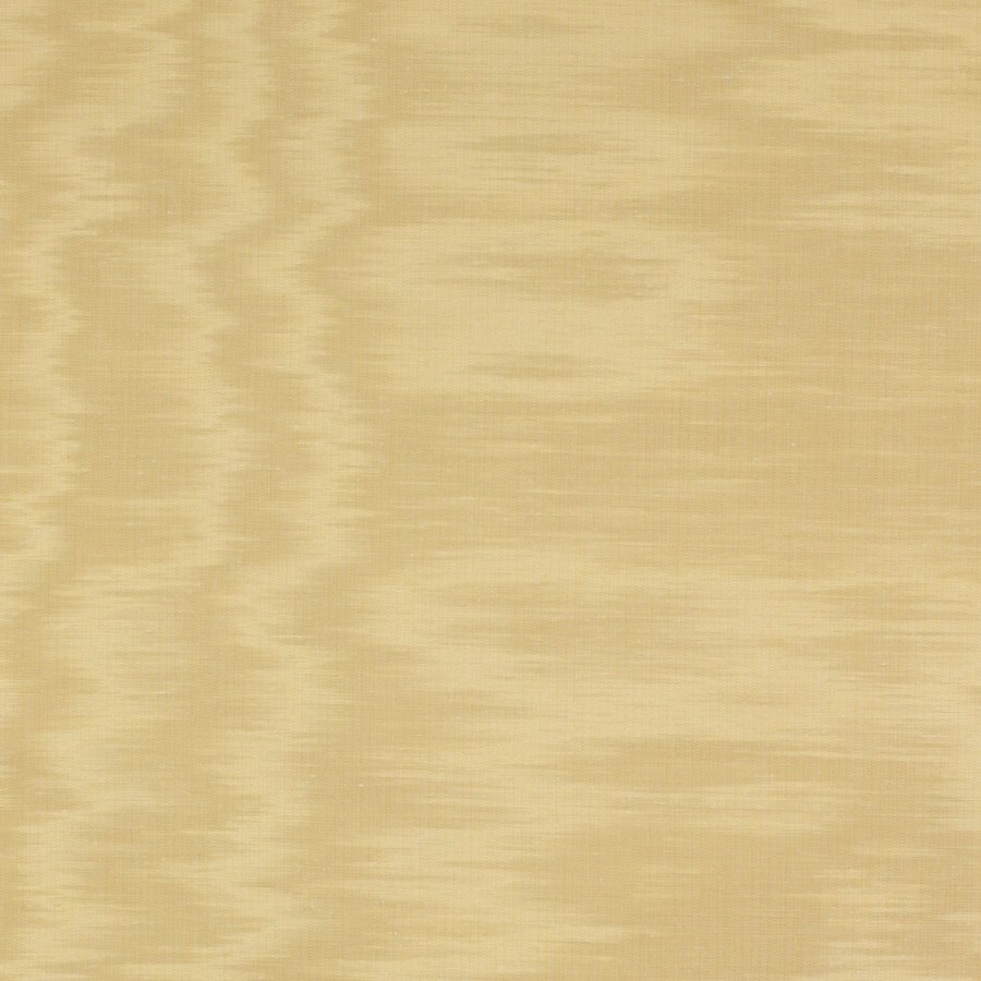 Eaton Plain Maize