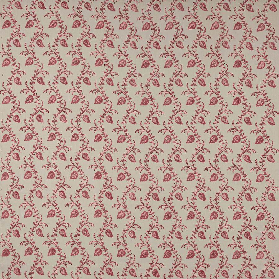 Felicity Pink