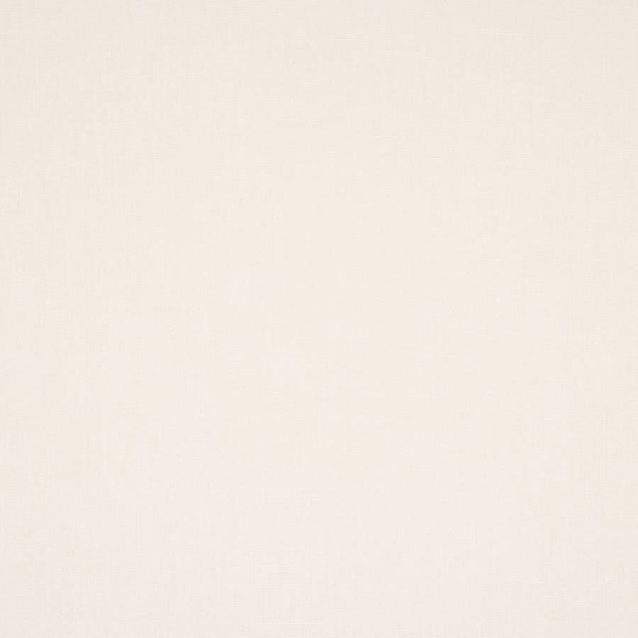 Flynn Ivory