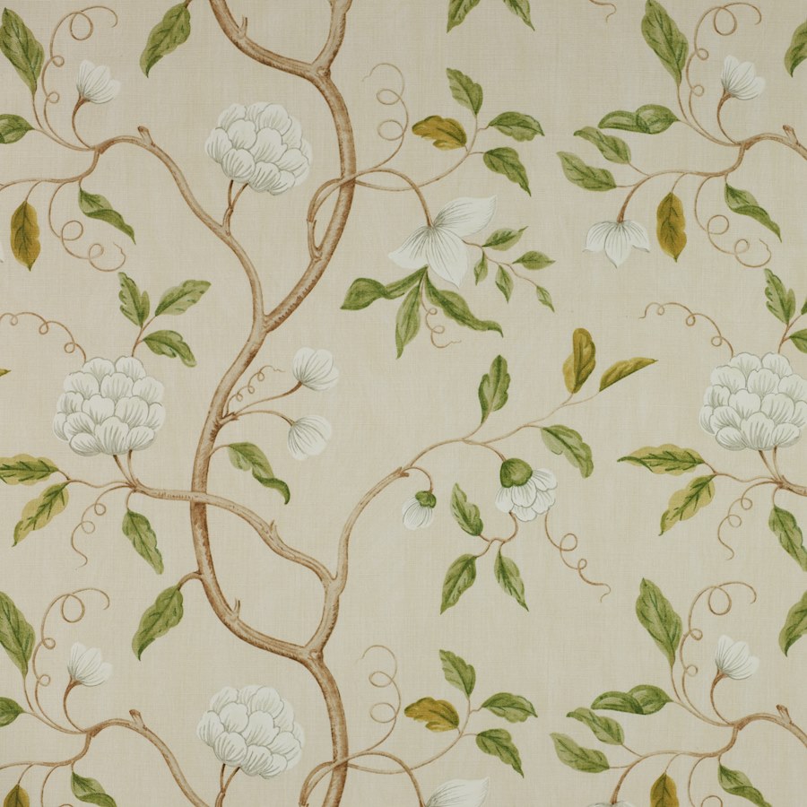 Snow Tree Cream