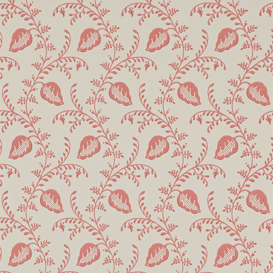 Felicity Red