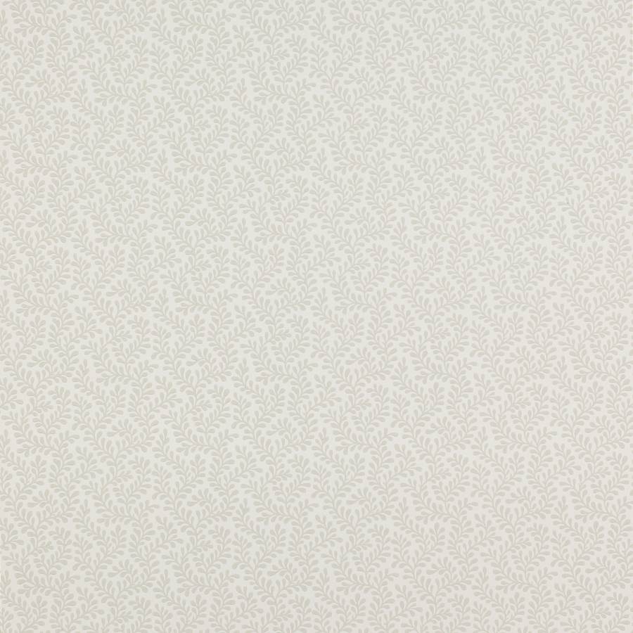 Rushmere Grey