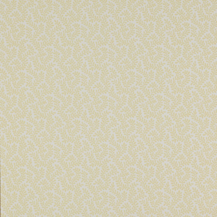 Rushmere Yellow