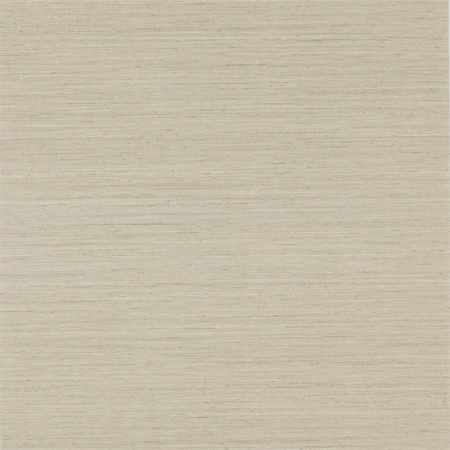 Sandrine Taupe