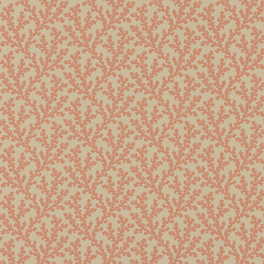 Sea Coral Red
