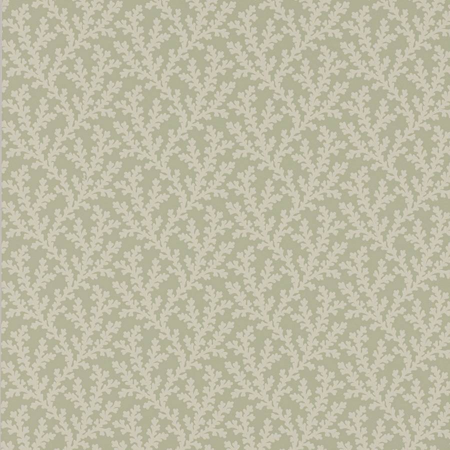 Sea Coral Willow