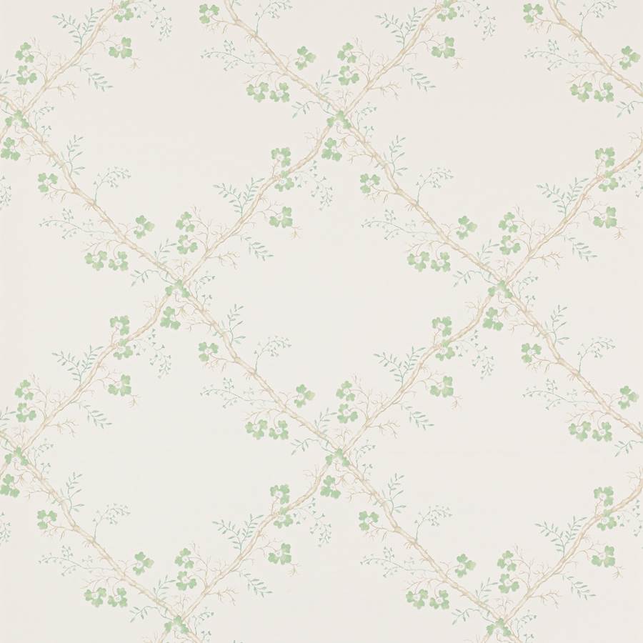 Trefoil Trellis Celadon