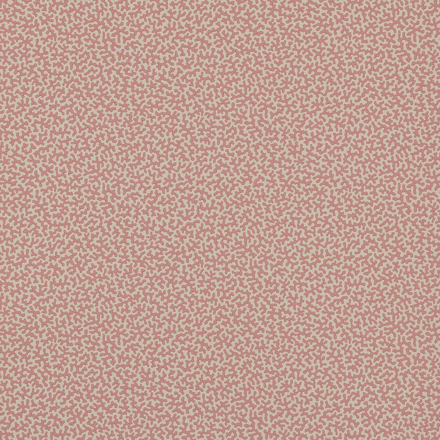 Wendle Red
