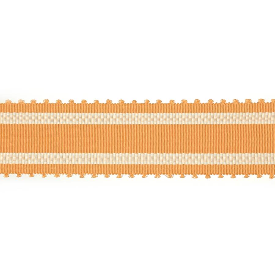 Wide Picot Braid Apricot
