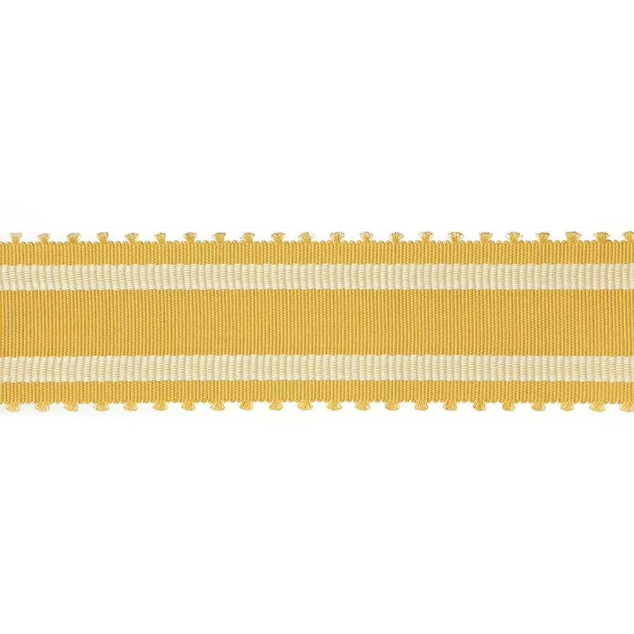 Wide Picot Braid Dark Yellow