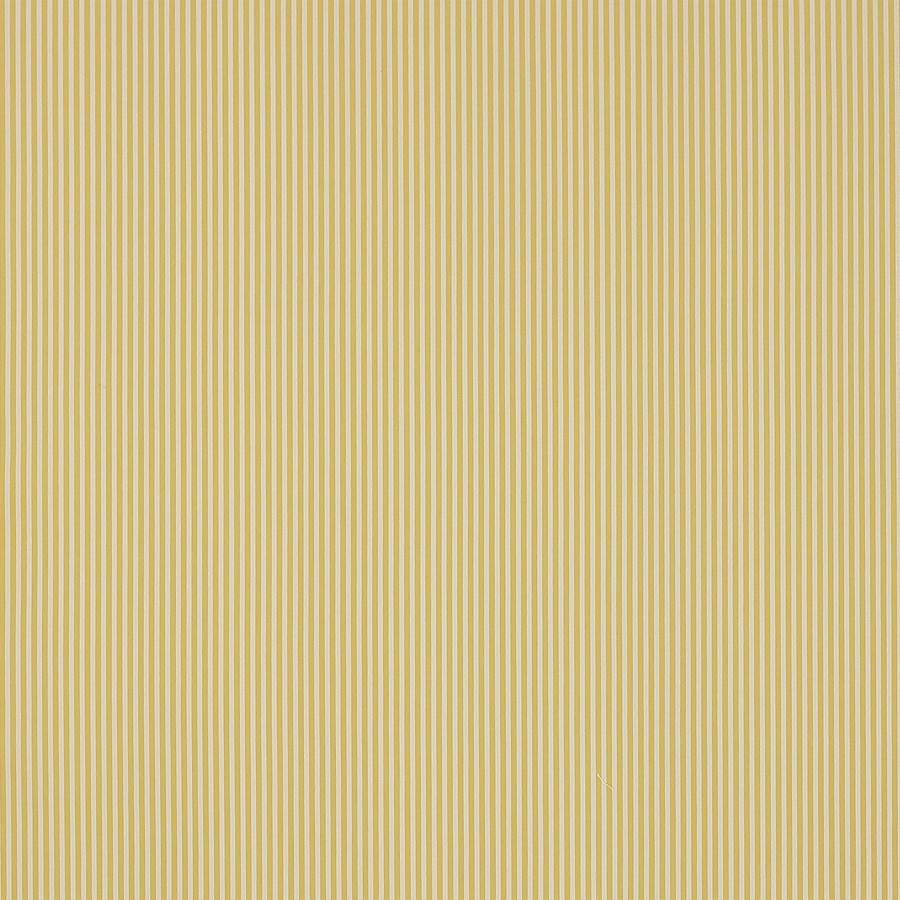 Arley Stripe Yellow