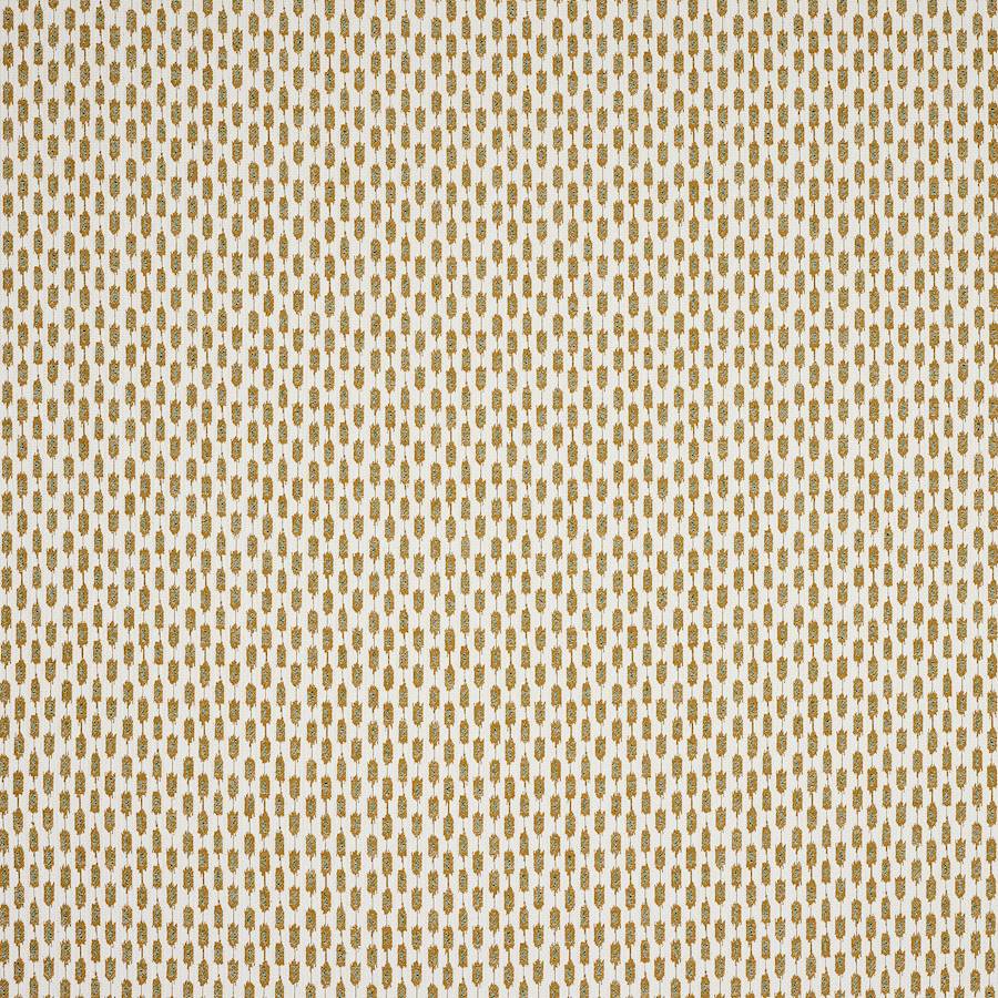 Ciro Ochre