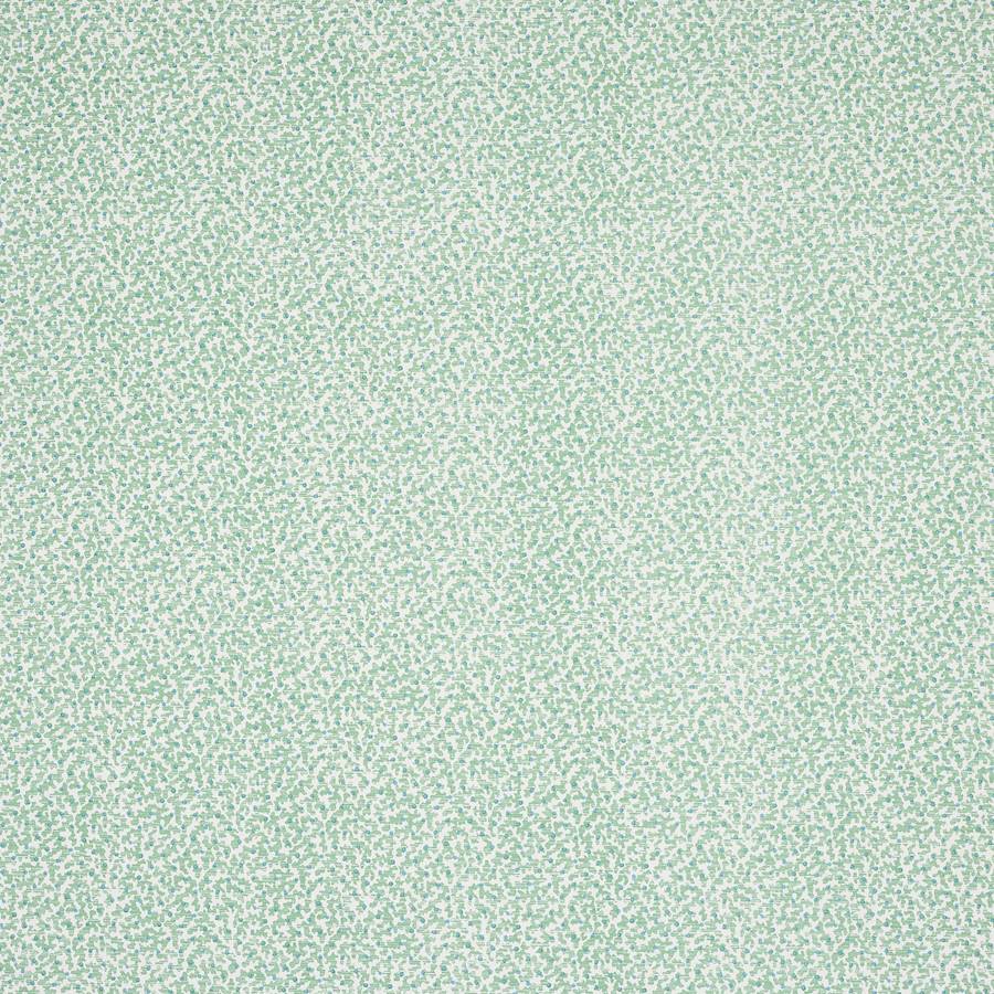 Coro Green