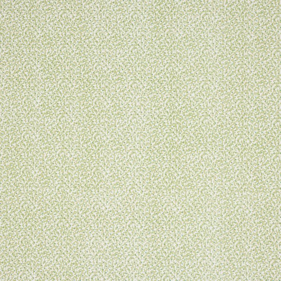 Coro Leaf