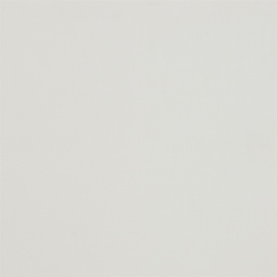 Palma White
