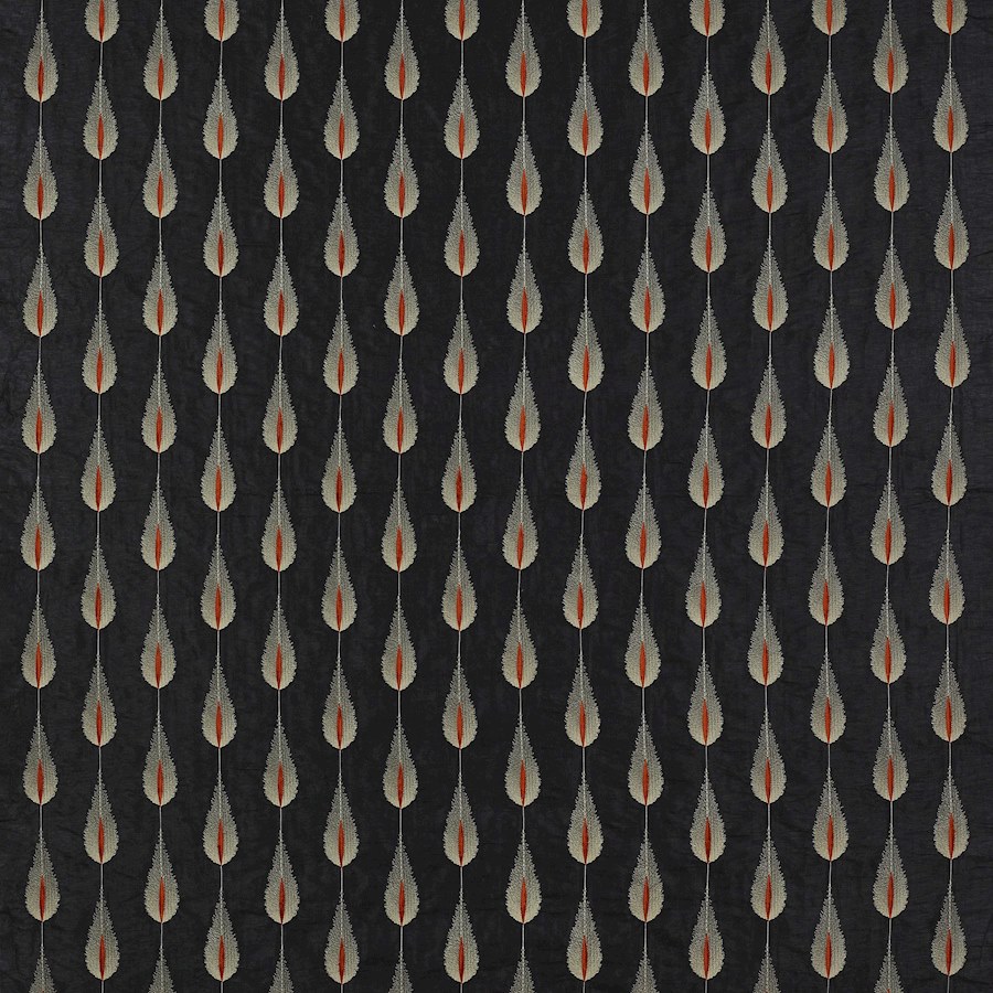 Plato Charcoal