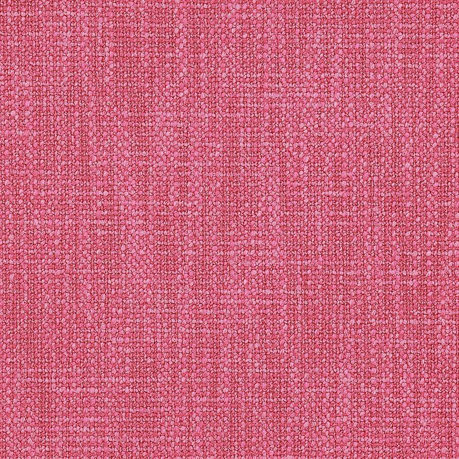 Shelley Pink