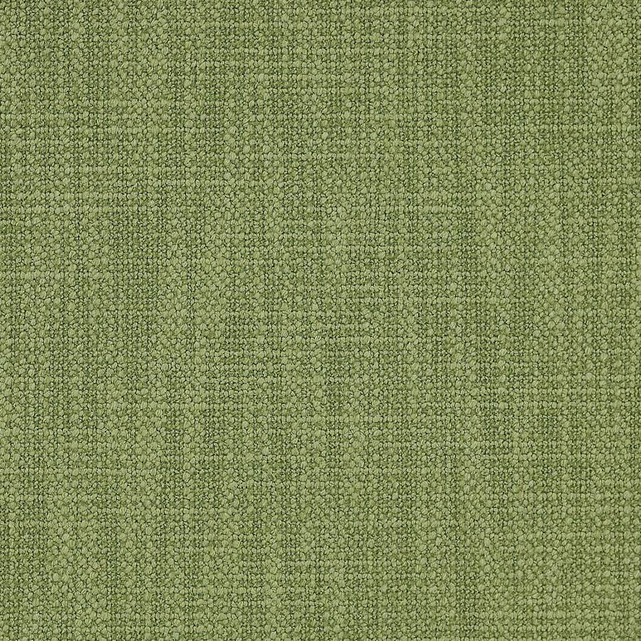 Shelley Seagrass