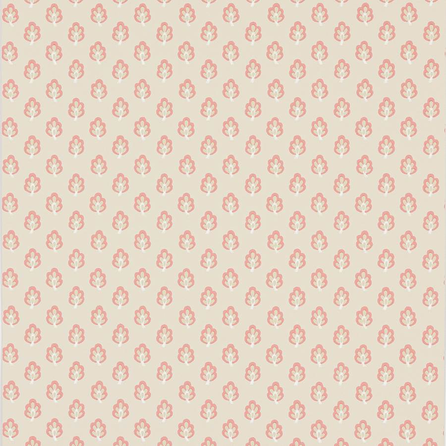 Albie Pink