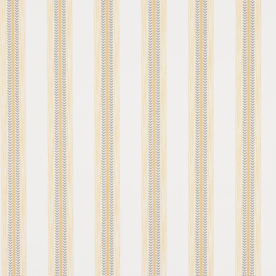 Camber Stripe Yellow