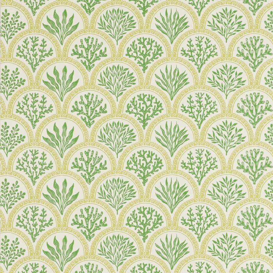 Coralli Green