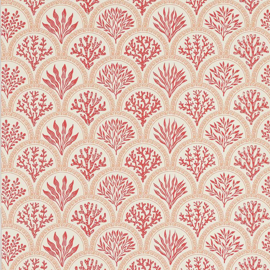 Coralli Pink/Red
