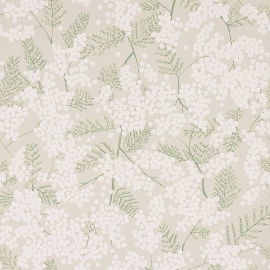 Mimosa Beige