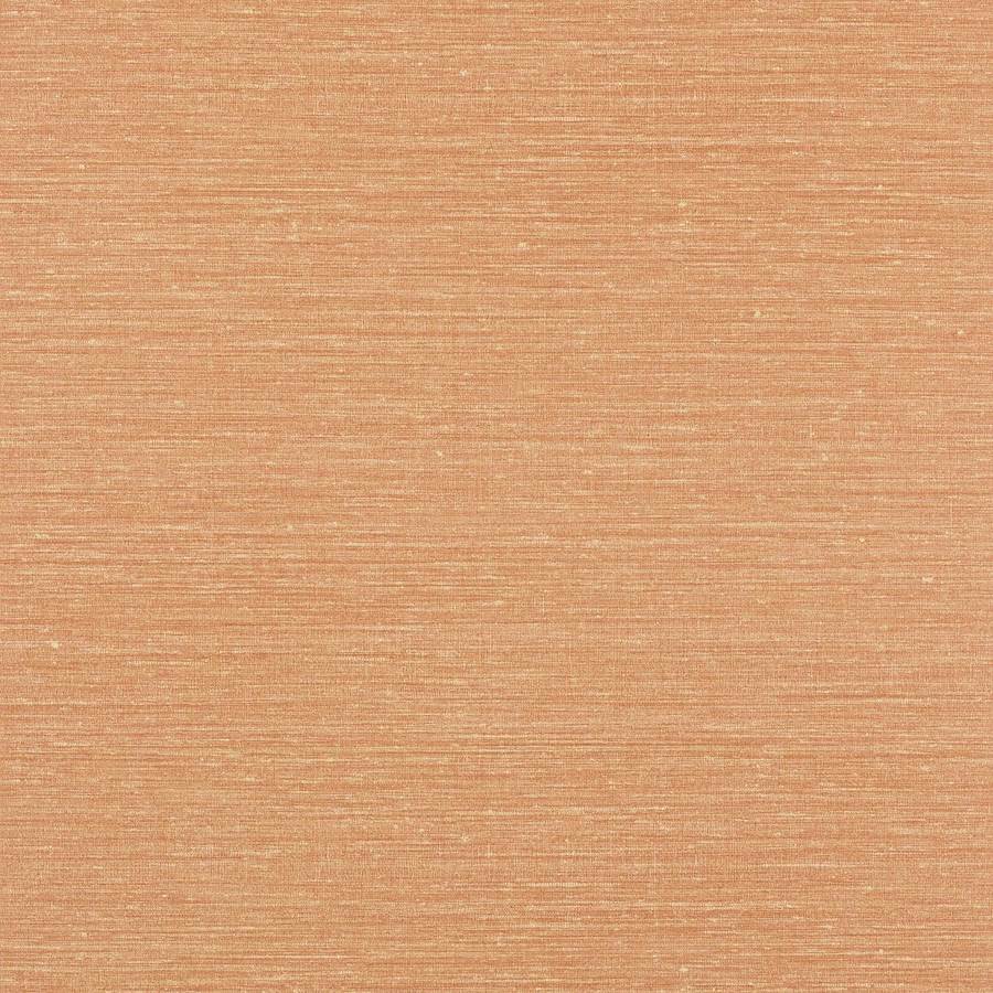 Zapphira Terracotta
