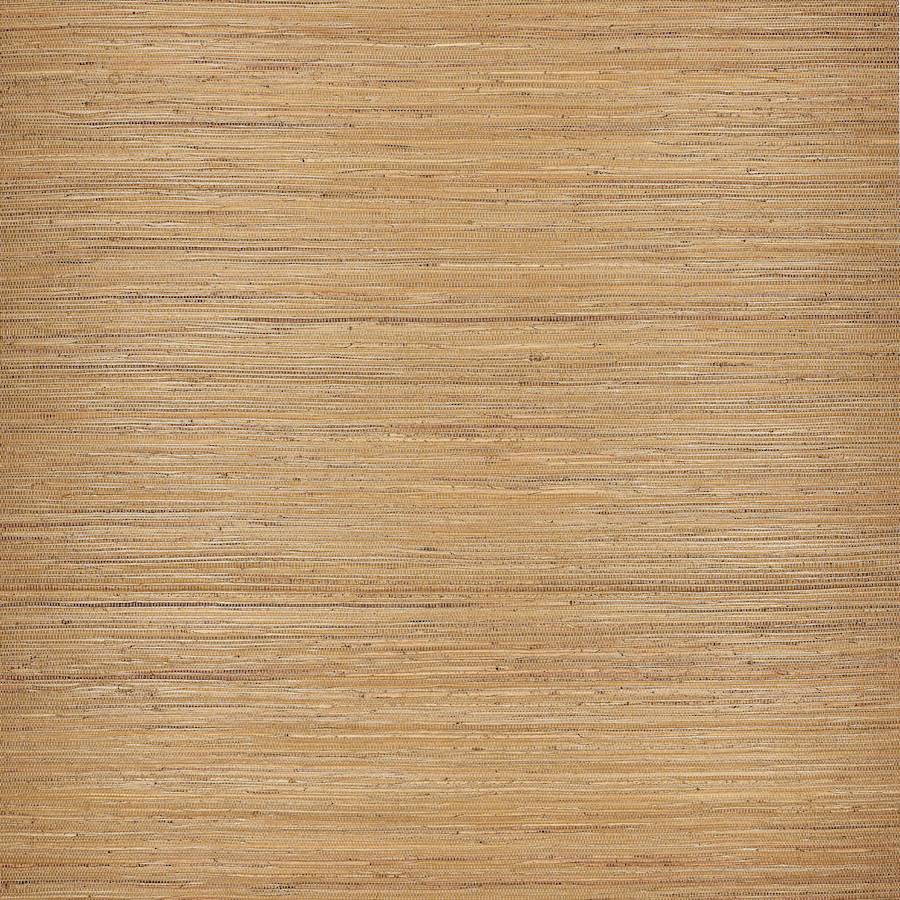 Dario Tabak