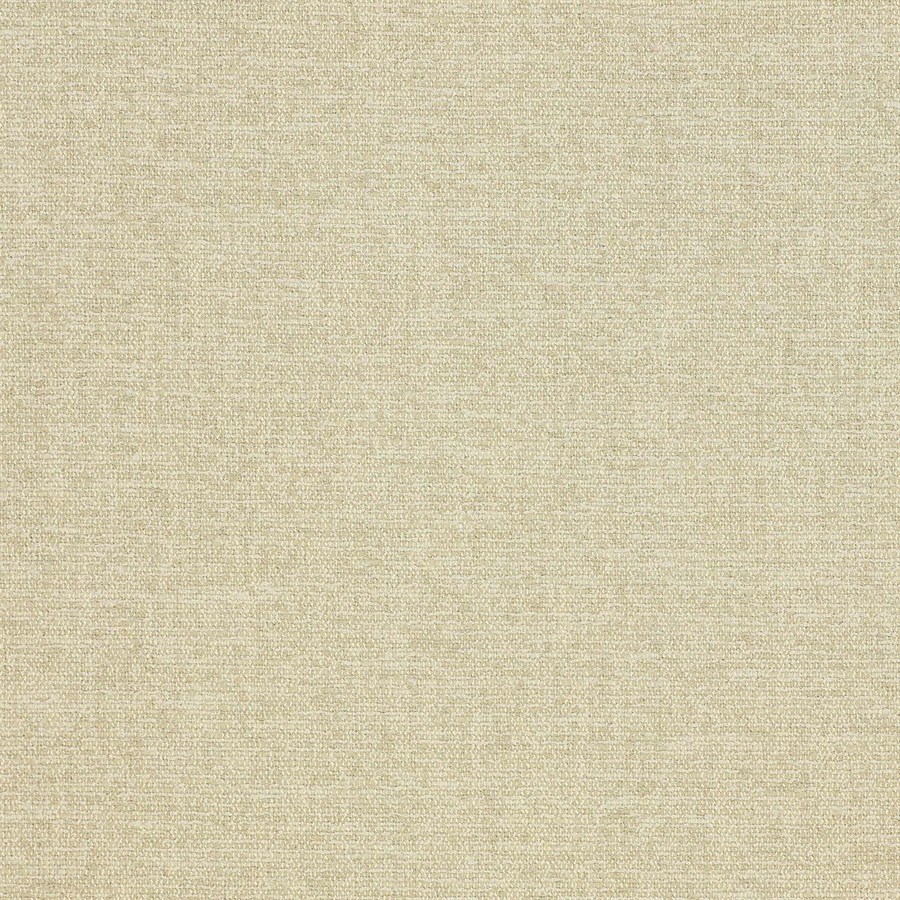 Laurus Bone