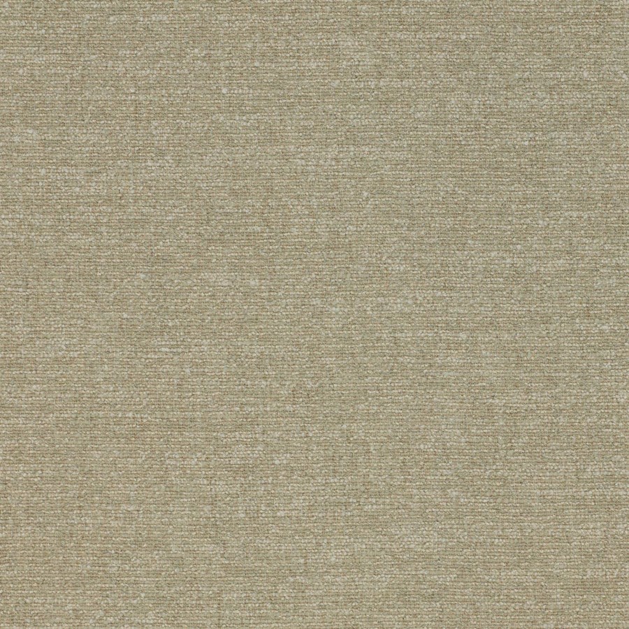 Laurus Celadon