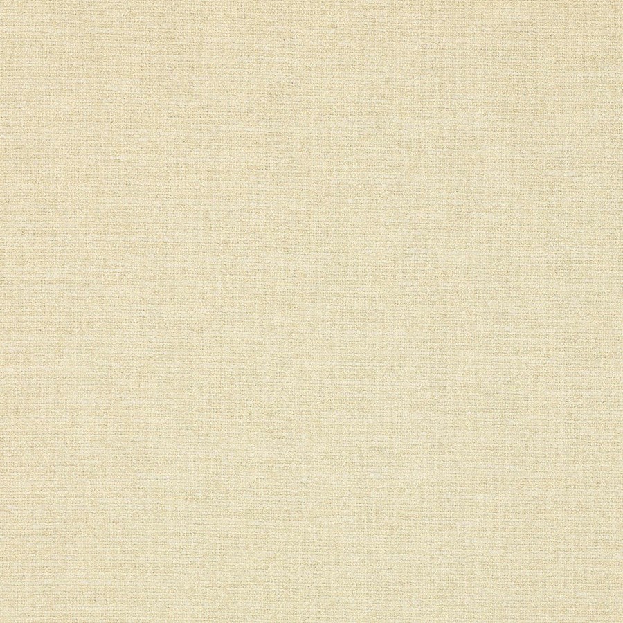 Laurus Ivory