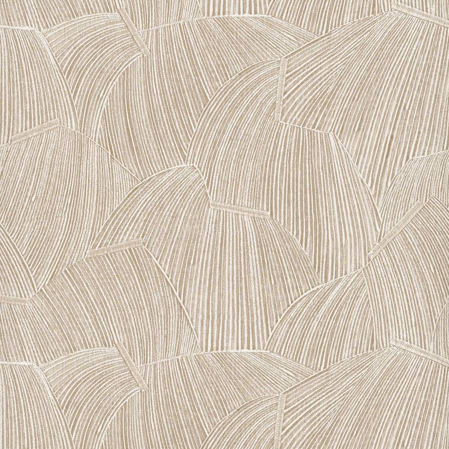 Wenge Birke