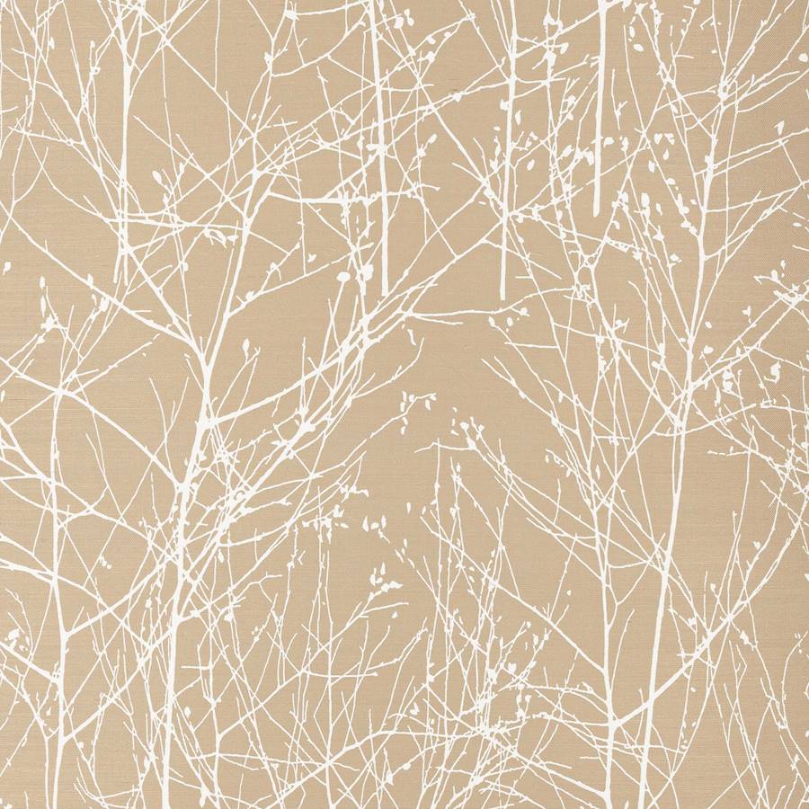 Wintertree Birke
