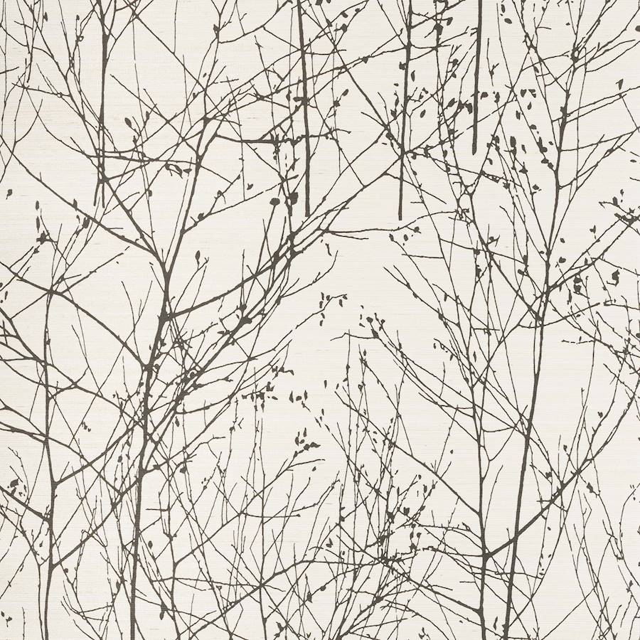Wintertree Ebenholz