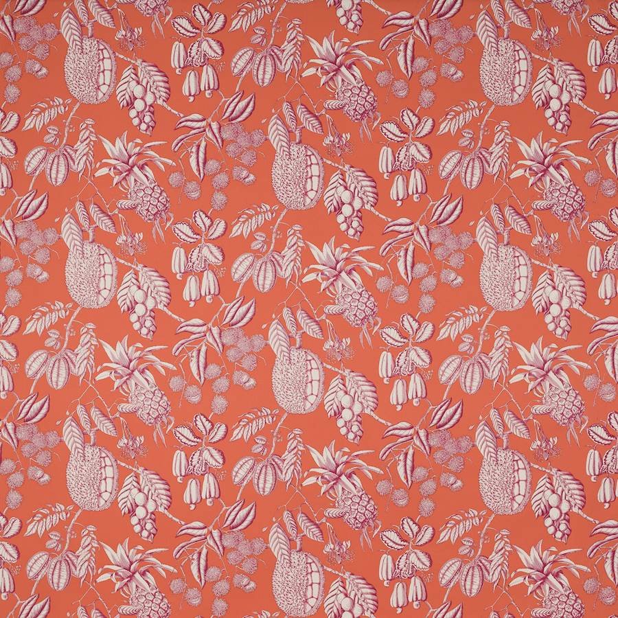 Balangan Coquelicot