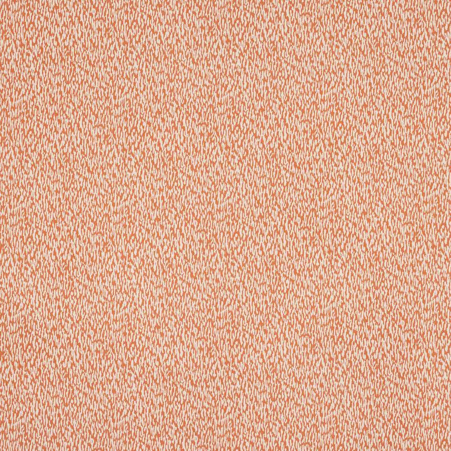Buci Corail