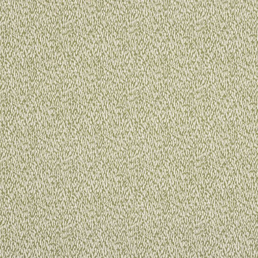 Buci Mousse