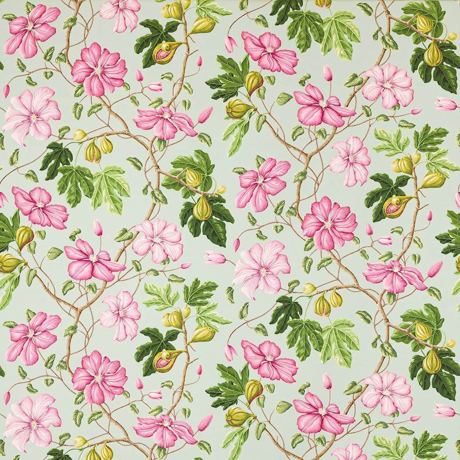 Castellane Rose/Aqua