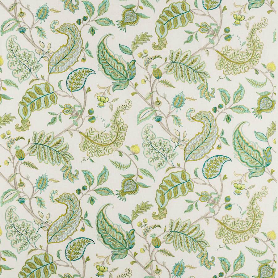 Colombe Celadon