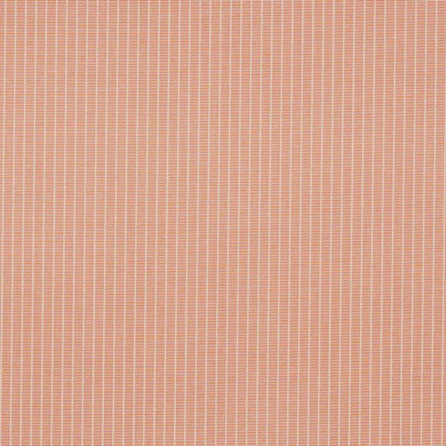 Linea Corail