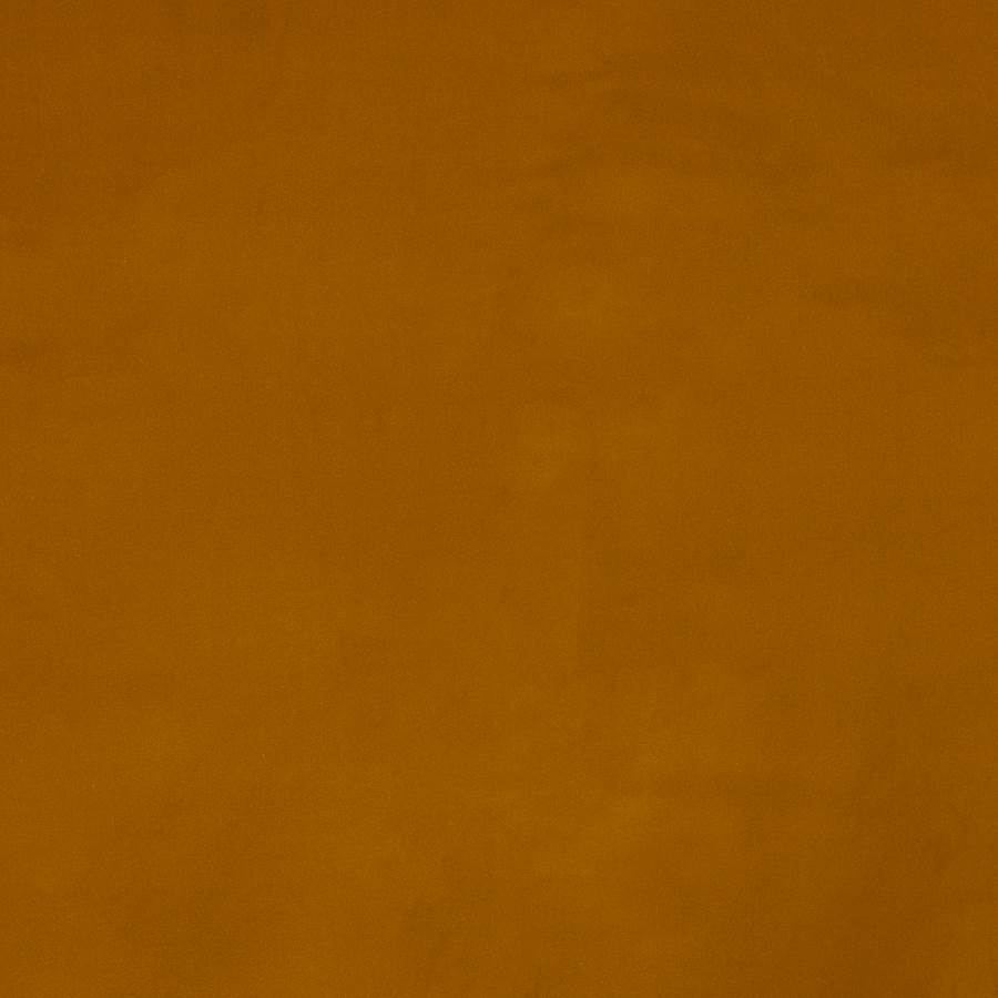 Orso Ambre