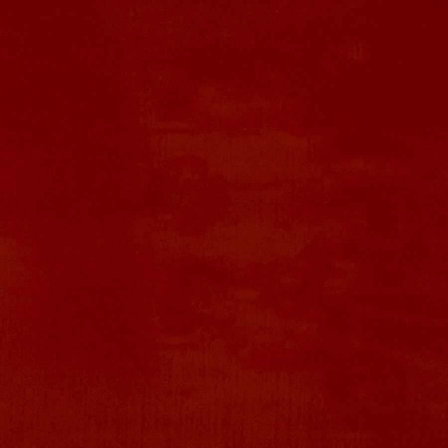 Orso Corail