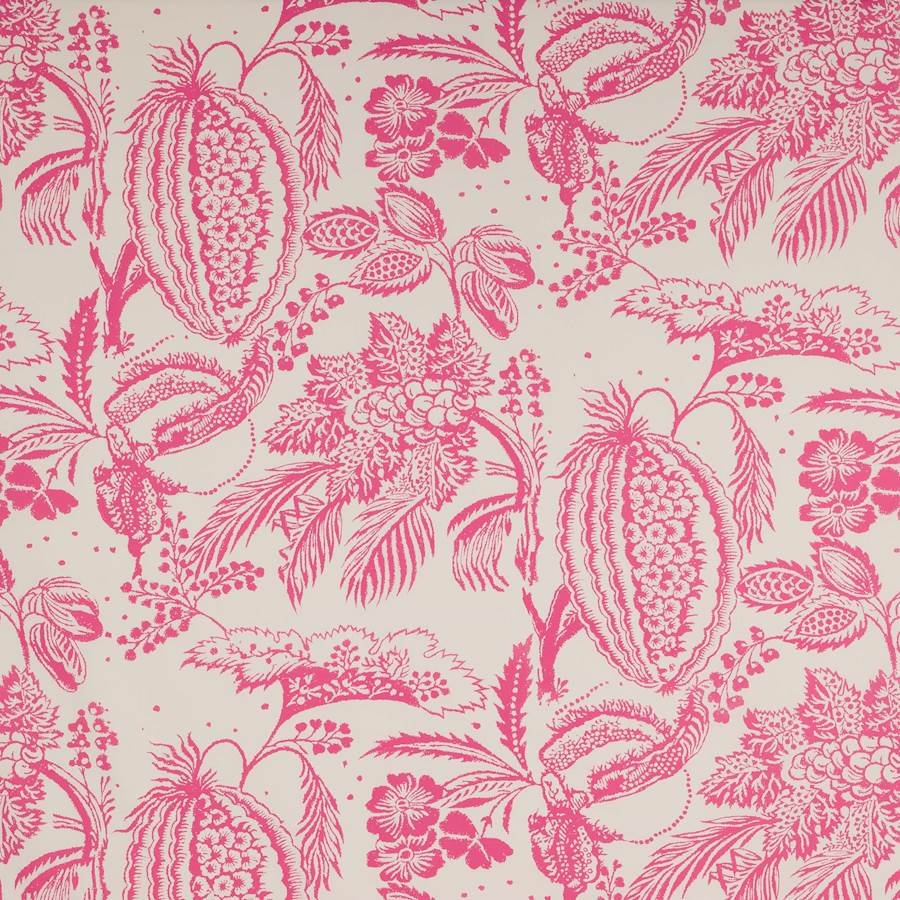 Pali Rose Indien