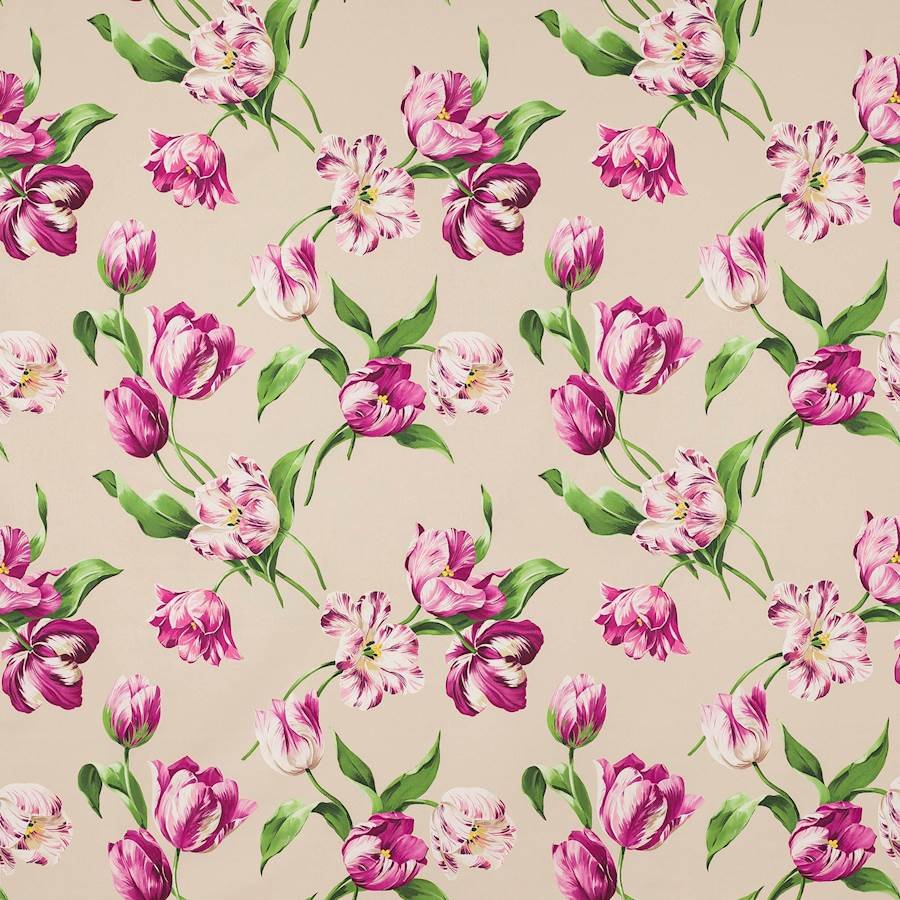Polina Fuchsia/Sable